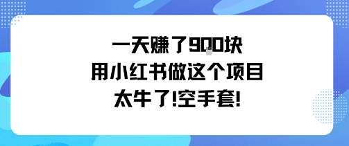 一天挣了9张用小红书做这个项目太牛了，空手套汇通分享-专注分享网络创业项目实操课程 – 全网首发_高质量创业项目输出汇通分享