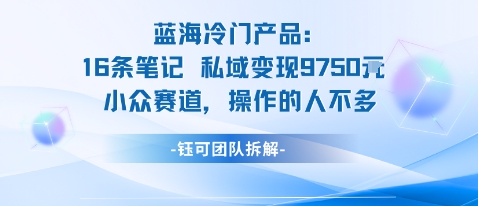蓝海项目：16条笔记私域变现9750米小众赛道操作的人不多汇通分享-专注分享网络创业项目实操课程 – 全网首发_高质量创业项目输出汇通分享