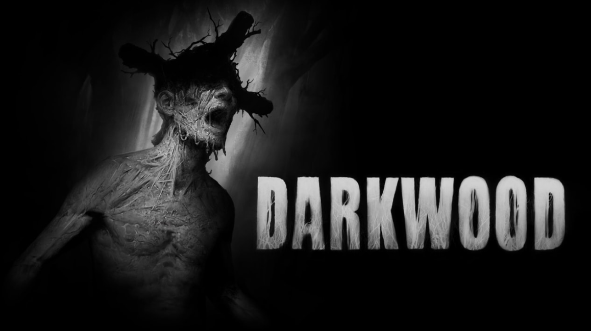 《阴暗森林 Darkwood》Switch中文版NSP下载-吾爱自习网