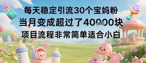 每天稳定引流30个宝妈粉当月变成超过了1W+项目流程非常简单适合小白汇通分享-专注分享网络创业项目实操课程 – 全网首发_高质量创业项目输出汇通分享