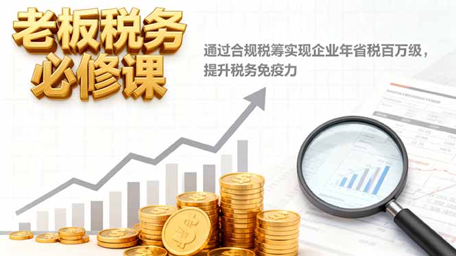 老板税务必修课,通过合规税筹实现企业年省税百万级,提升税务免疫力-副业联盟