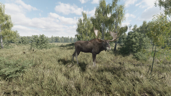 《猎捕行动/On the Hunt》PC中文版下载-含Build.20557498-天云资源网