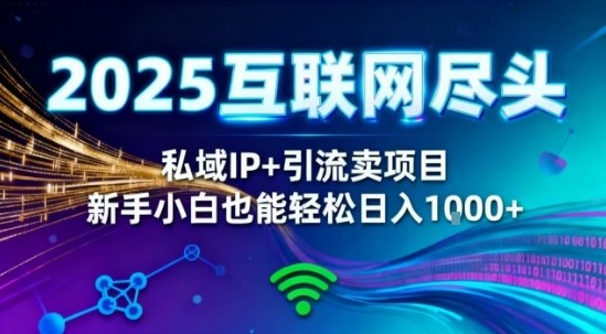 2025网创尽头王炸项目！私域IP+精准引流，新手小白在家躺賺日入1k，零经验也能上手【揭秘】-天云资源网