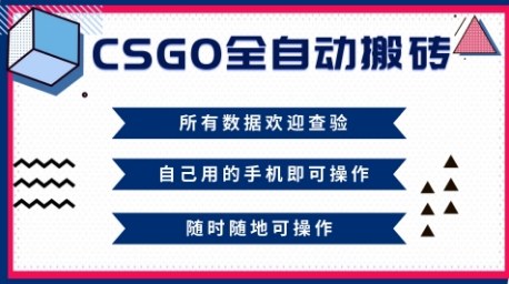 CSGO全自动搬砖，年底钱回家好项目，当天可拿到结果，新手小白轻松月入1W+【揭秘】 - 青笺杂货铺