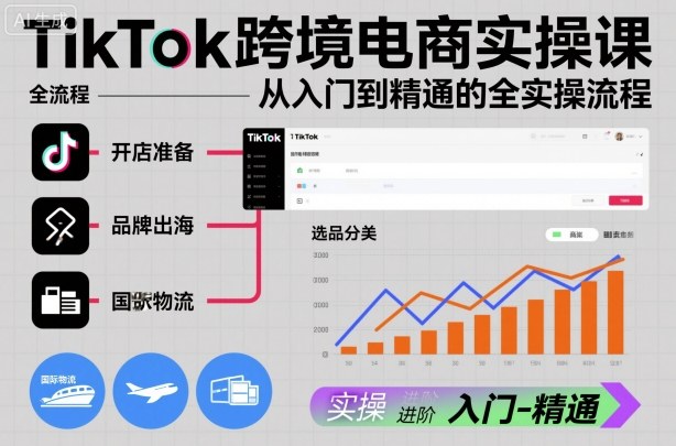 TikTok跨境电商实操课，从入门到精通的全实操流程 - 青笺杂货铺 - 网创项目和软件下载资源平台