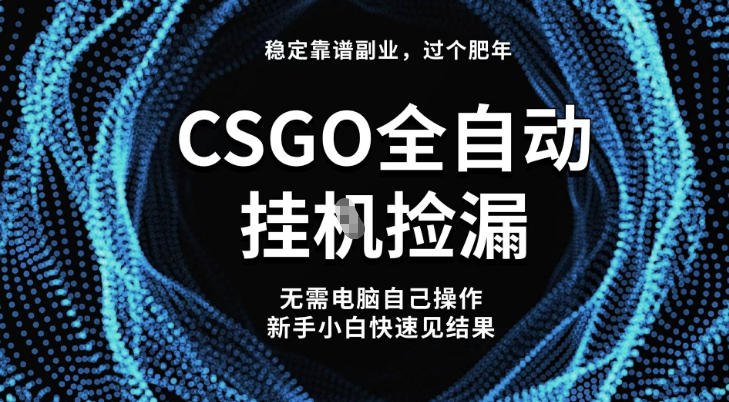 【稳定副业】全球最热门游戏CSGO全自动捡漏，最新玩法，新手小白日入5张+【揭秘】-吾爱自习网