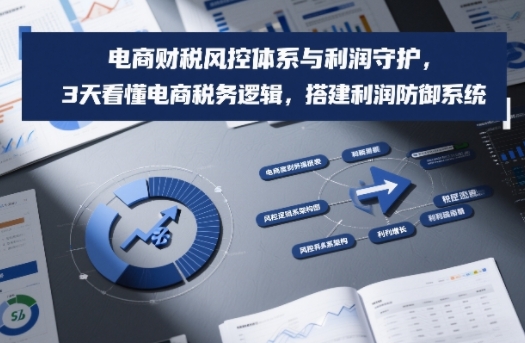 电商财税风控体系与利润守护，3天看懂电商税务逻辑，搭建利润防御系统-吾爱自习网