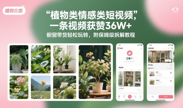植物类情感类短视频，一条视频获赞36W+，橱窗带货轻松玩转，附保姆级拆解教程-新时光资源网