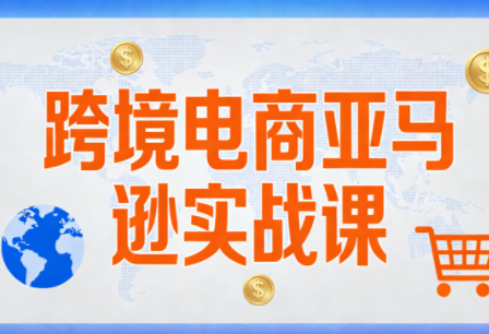 丝丝老师·跨境电商亚马逊实战课(更新2月)-樵渔匹