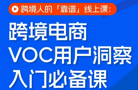跨境电商VOC用户洞察入门必备课-云推网创项目库