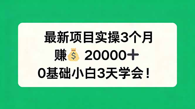 最新项目实操3个月，赚钱20000+，0基础小白3天学会！-新时光资源网