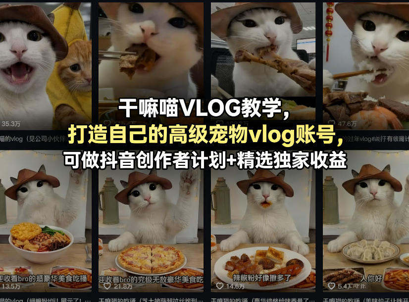 干嘛喵VLOG教学，打造自己的高级宠物vlog账号，可做抖音创作者计划+精选独家收益-新时光资源网