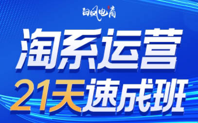 白凤电商·淘系运营21天速成班(更新4月)-樵渔匹