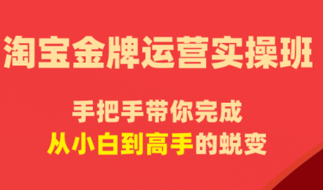 飓风电商·淘宝金牌运营实操班-喜学网