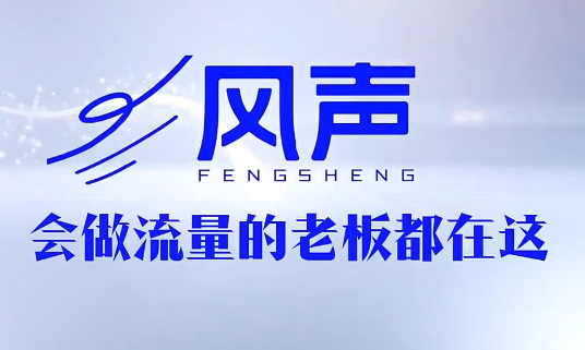 董十一·风声短视频AI获客年度会员-我爱发帖