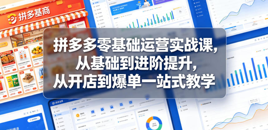 拼多多零基础运营实战课，从基础到进阶提升，从开店到爆单一站式教学-喜学网