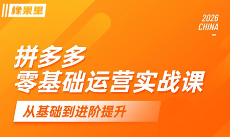 仙道电商·拼多多零基础运营实战课-新时光资源网