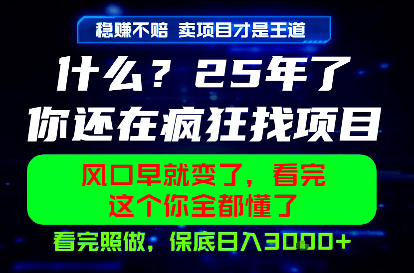 26年,请不要疯狂的找项目做了!卖项目才是真的稳賺不赔,看完照做,保底日入1k+【揭秘】-新时光资源网