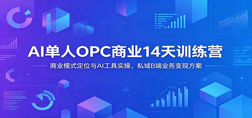 AI单人OPC商业14天训练营:商业模式定位与AI工具实操,私域B端业务变现方案-项目汇