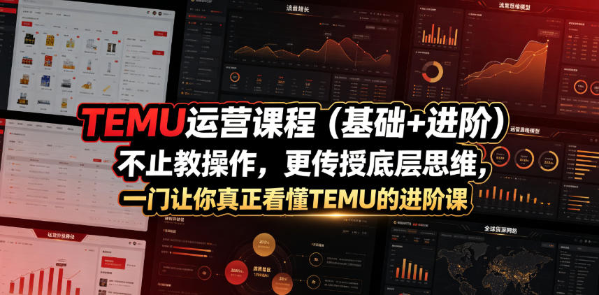 TEMU运营课程(基础+进阶)，不止教操作，更传授底层思维，一门让你真正看懂TEMU的进阶课-我爱发帖