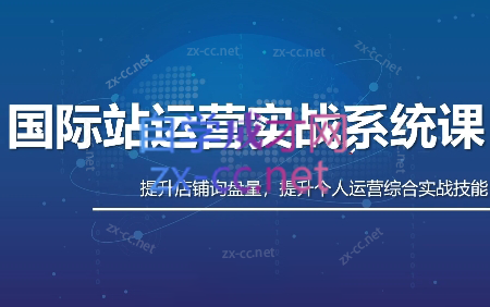 白老师·国际站运营实战系统(高质量询盘增长课)(更新)-新时光资源网