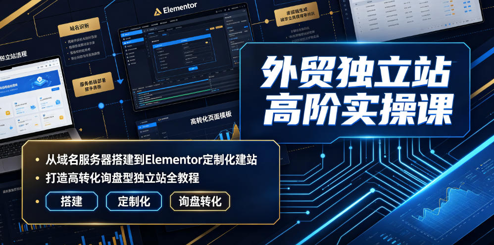 外贸独立站高阶实操课|从域名服务器搭建到Elementor定制化建站,打造高转化询盘型独立站全教程-吾爱自习网