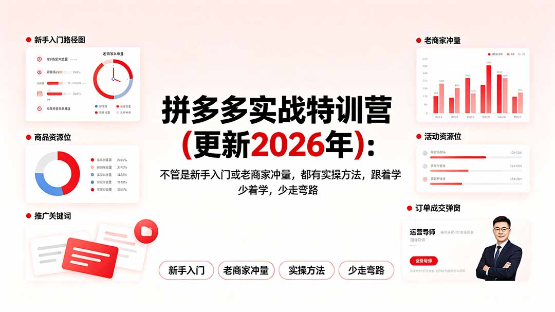 拼多多实战特训营(更新2026年-旺仔资源库
