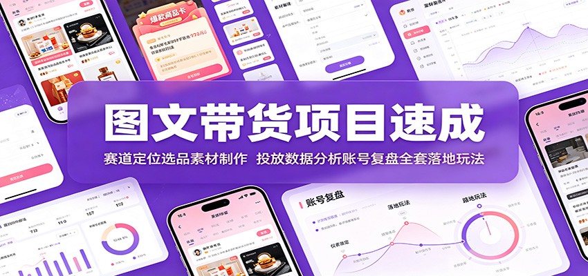 图文带货项目速成：赛道定位选品素材制作，投放数据分析账号复盘全套落地玩法-旺仔资源库