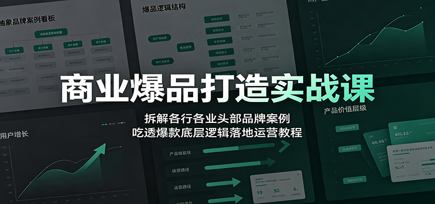 商业爆品打造实战课：拆解各行各业头部品牌案例，吃透爆款底层逻辑落地运营教程-吾爱自习网