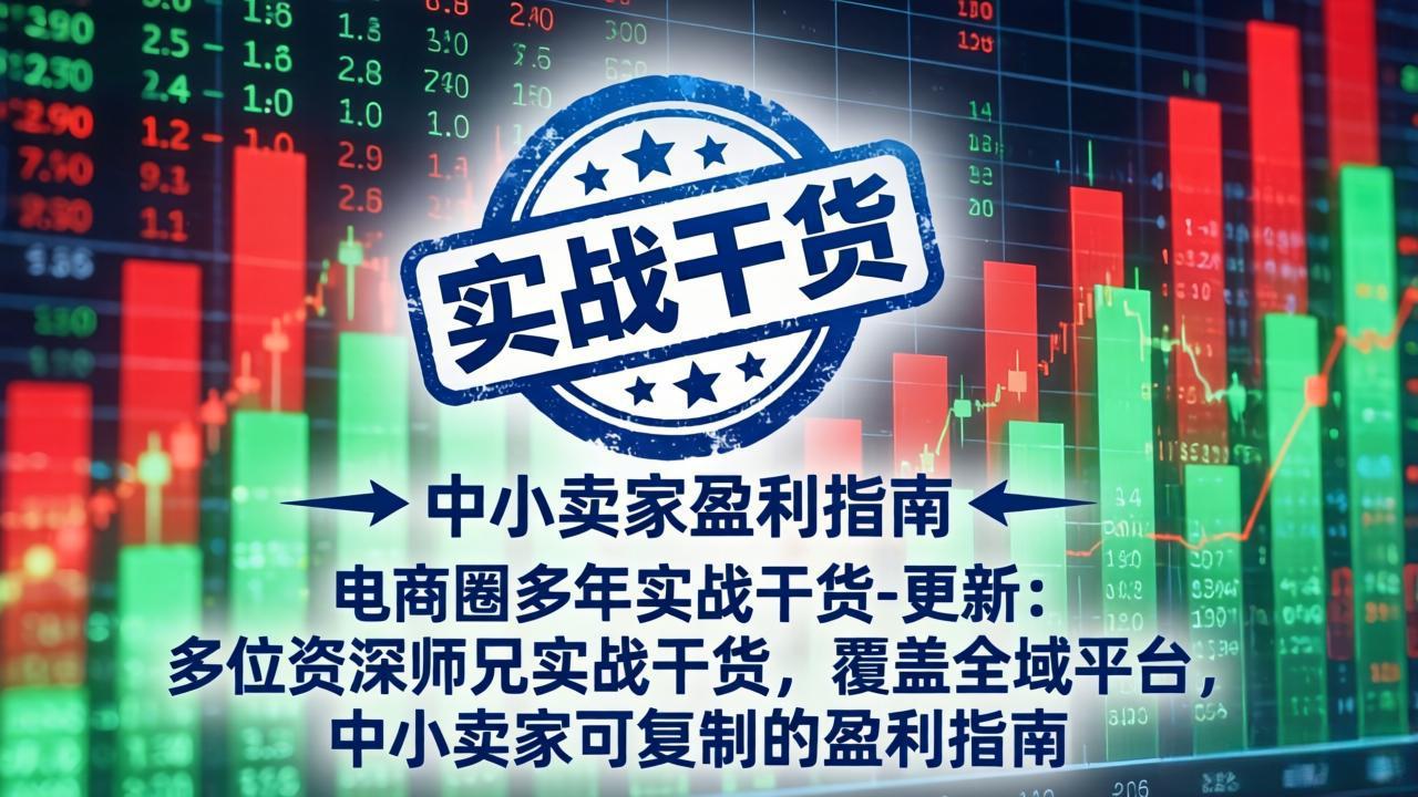 电商圈多年实战干货-更新2026：多位资深师兄实战干货/覆盖全域平台，中小卖家可复制的盈利指南｜焦圣希 18818568866