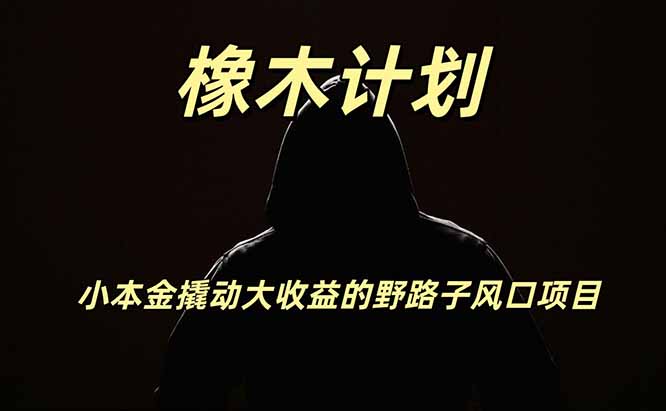 橡木计划，小投入撬动高回报的风口野路子项目，一天投入2小时左右｜焦圣希 18818568866