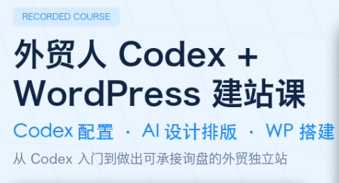 大卫·外贸人Codex + WordPress建站课(更新8月)-我爱发帖