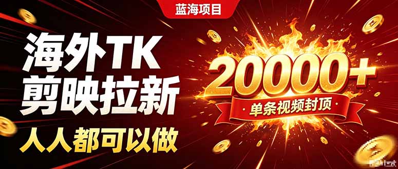 海外TK拉新新玩法，剪映就能做，不用经验不用粉丝，单条视频收益上限20000+-旺仔资源库
