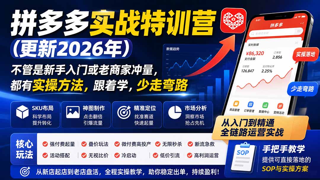 拼多多实战特训营(更新26年0821-旺仔资源库