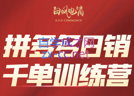 白凤电商·拼多多日销千单训练营(更新8月)-知梦网创