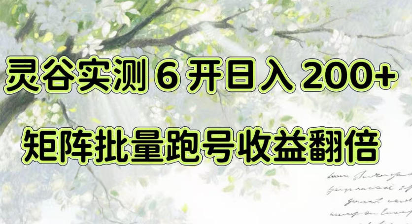 一台电脑就能做!灵谷实测6开日入200+,矩阵批量跑号收益翻倍【揭秘】-旺仔资源库