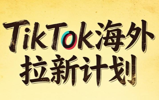 Tc联盟·TikTok海外拉新项目(更新9月)-皮皮网创
