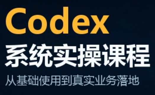 codex系统实操课程(更新10月)-我爱发帖