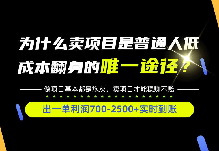 普通人如何靠互联网賺取自己的第一桶金！全类目实操型教学，看完你全都懂了！【揭秘】-我爱发帖
